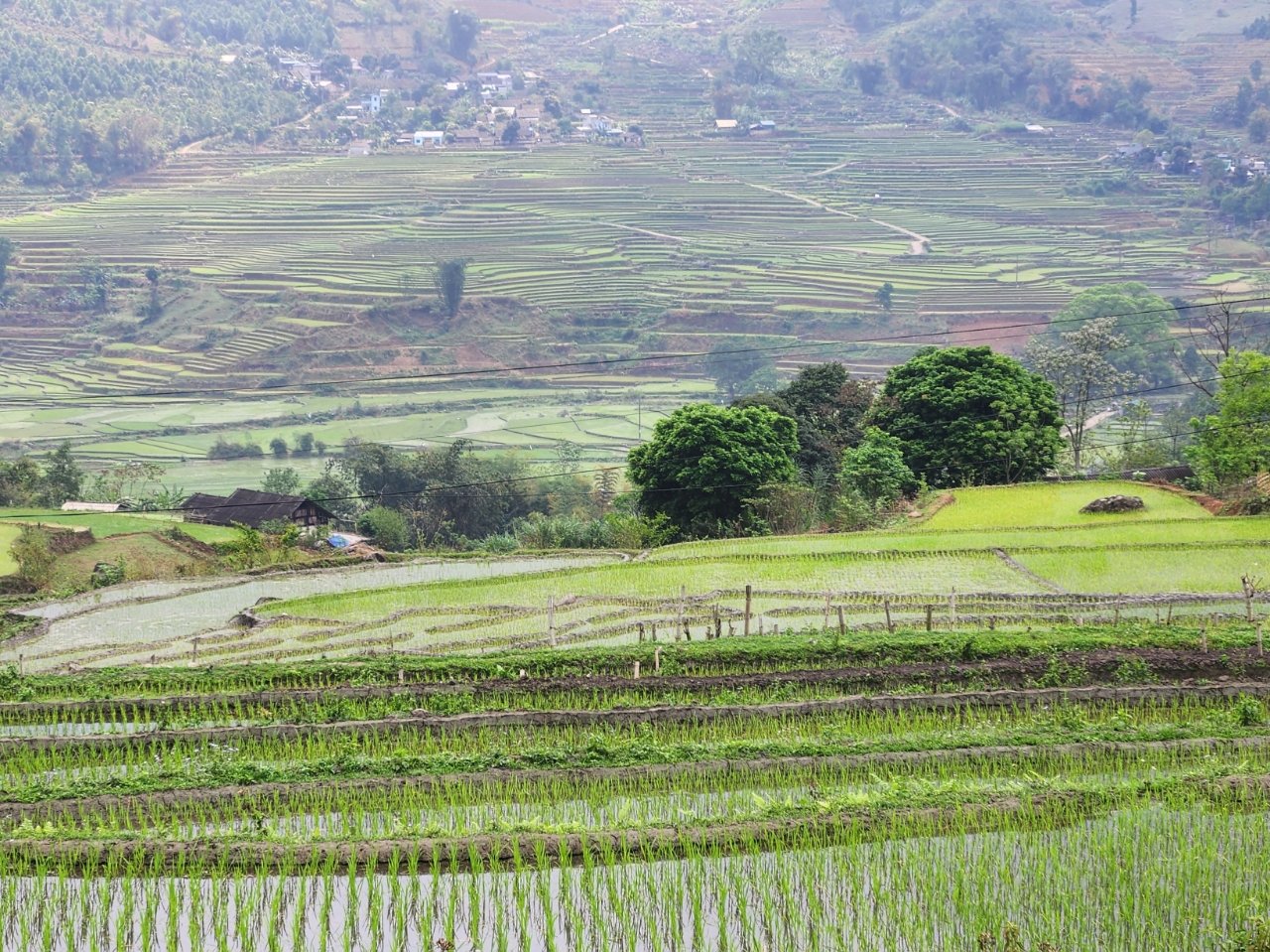 Epic 15-Day Ha Giang to Sapa Mountain Bike Tour